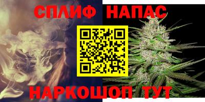 Альфа ПВП Нальчик