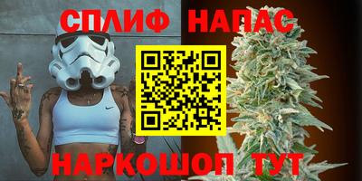сатива Наро-Фоминск