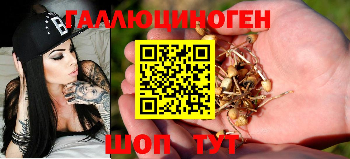 Галлюциногенные грибы Cubensis  Вход с VPN  Торжок 